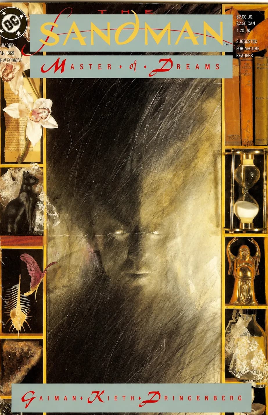 Capa de Sandman
